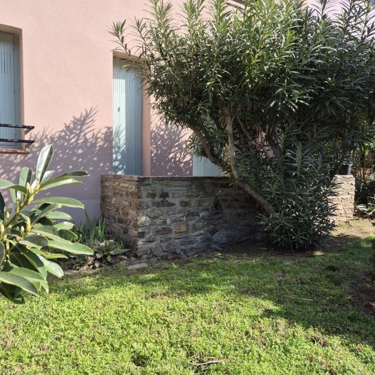 Collioure : Appartement Lumineux T2 avec Terrasse et Parking - FR-1-309-442 - Apartamento - 22
