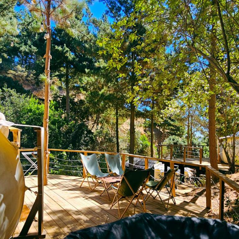 Glamping de Matanzas - Tent - 8