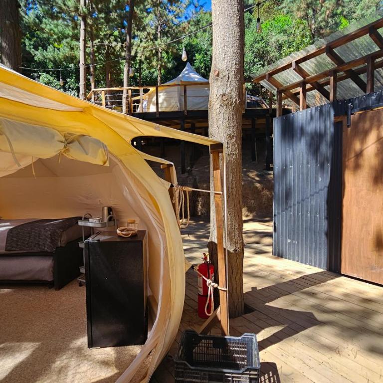 Glamping de Matanzas - Tent - 5