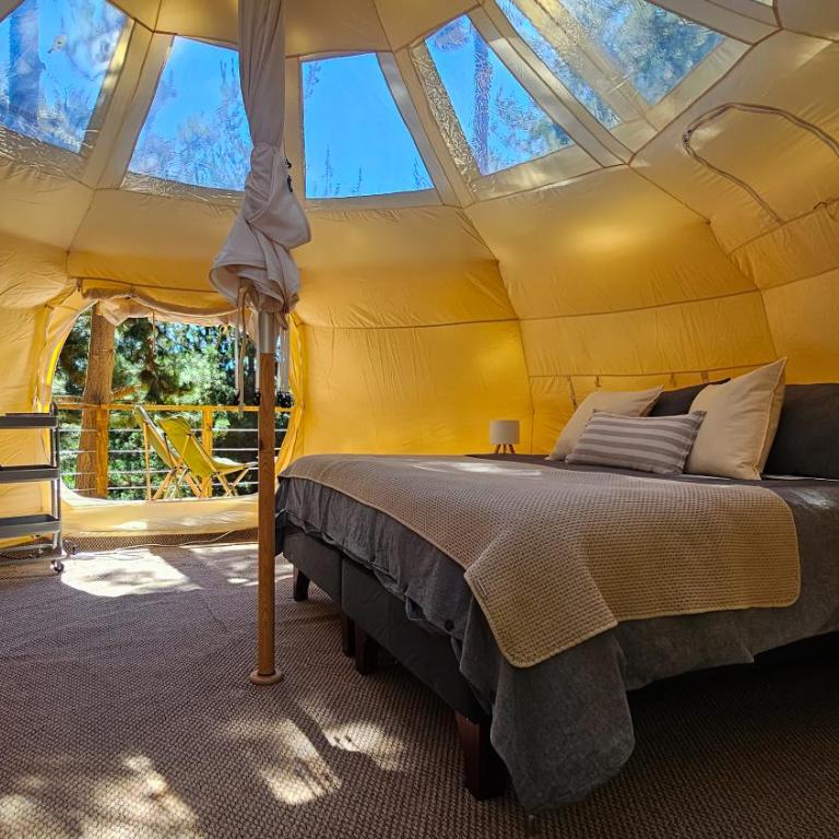 Glamping de Matanzas - Tent - 4