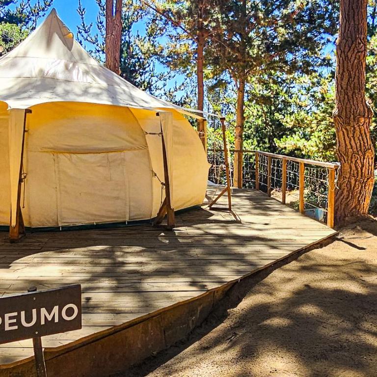Glamping de Matanzas - Tent - 2