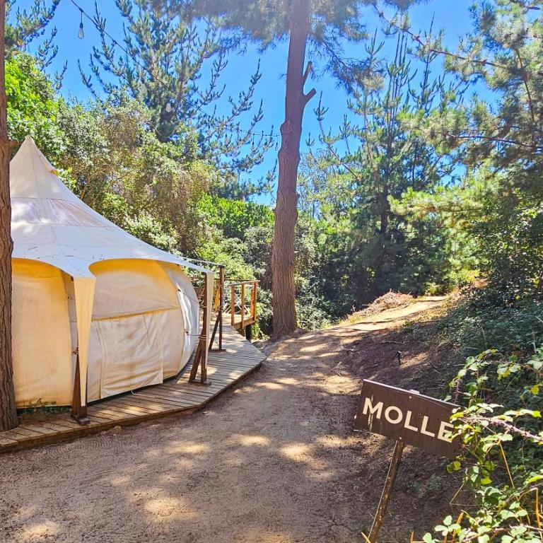 Glamping de Matanzas - Tent - 7