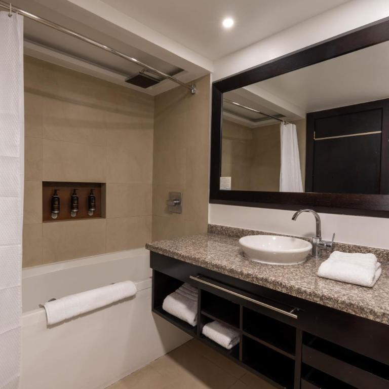 Wyndham Garden Quito - Suite Junior con cama extragrande - Planta jardín - 5