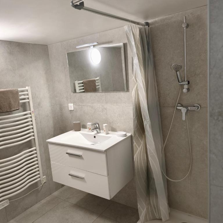 Grand studio avec terrasse - Appartement 1 Chambre - 21