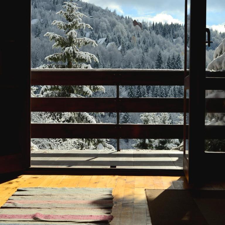 Cabin & Apartment Kopaonik - Vacation Home - 21