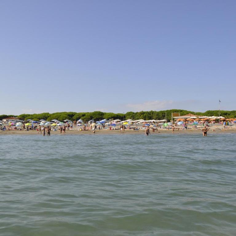 Studio in Lido di Jesolo 54501 - Monolocale - 21