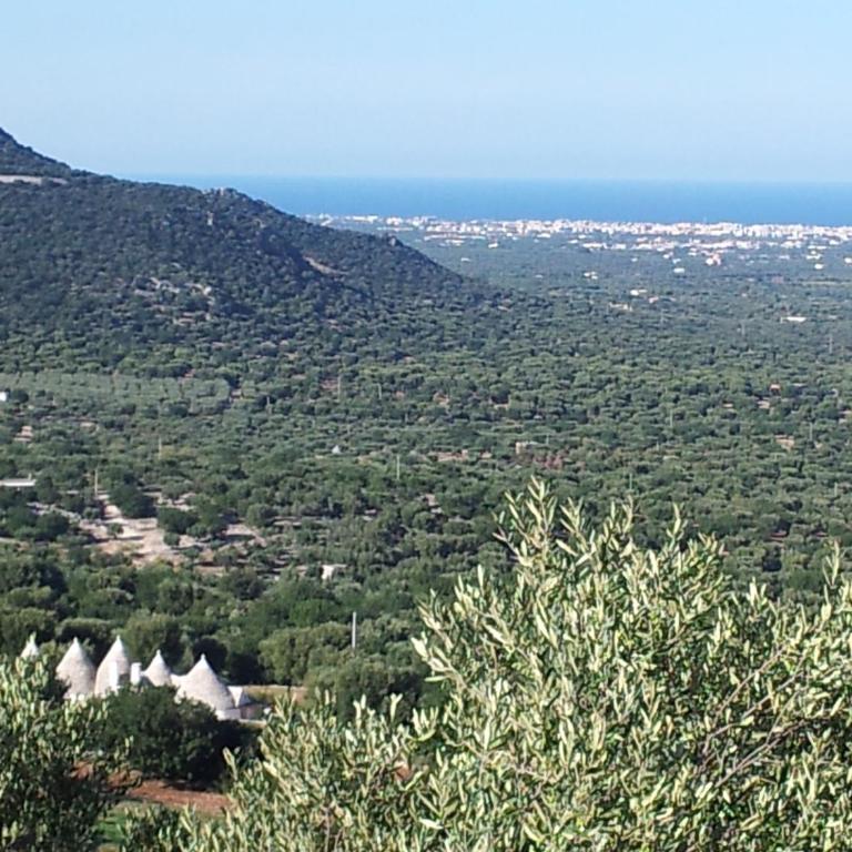 Villa Capitolo Holidays by maresolePUGLIA - Villa Fronte Spiaggia - 49