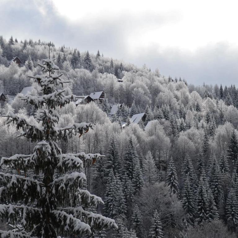 Cabin & Apartment Kopaonik - Studio with Mountain View - 2
