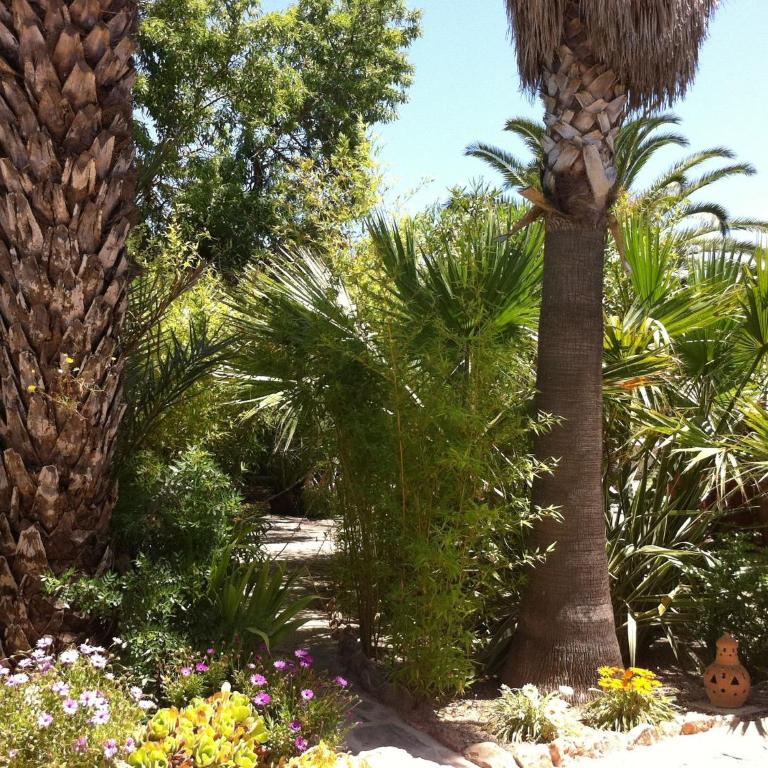 Holiday Home in St Josep de sa Talaia with Pool - Casa Vacanze con 3 Camere da Letto - 25