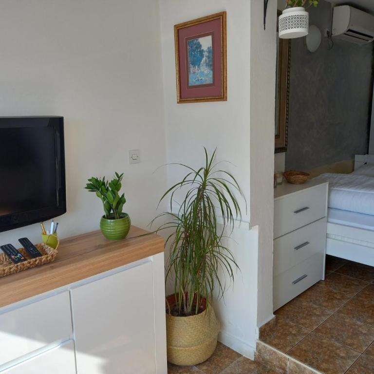 Bay View Apartment - Studio with Sea View - 6