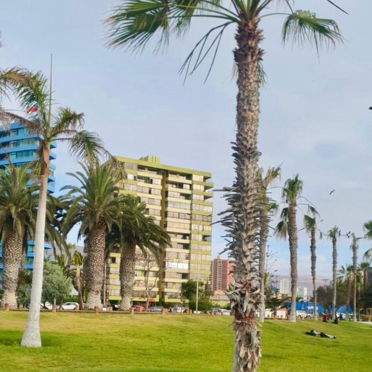Beach front Apartment Cavancha Beach, Iquique - Three-Bedroom Apartment - 38