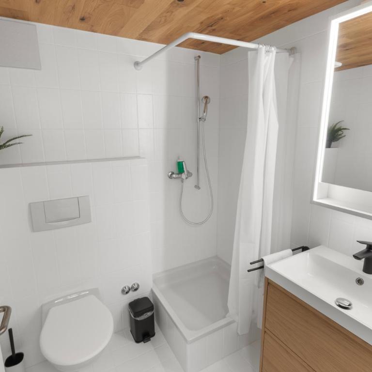 Élégant studio à proximité des pistes et des bains - Apartment mit 1 Schlafzimmer - 5