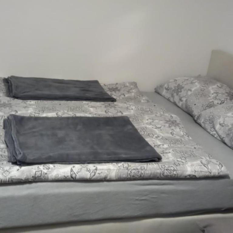 Zlatibor Apartman Nikolic - One-Bedroom Apartment - 6