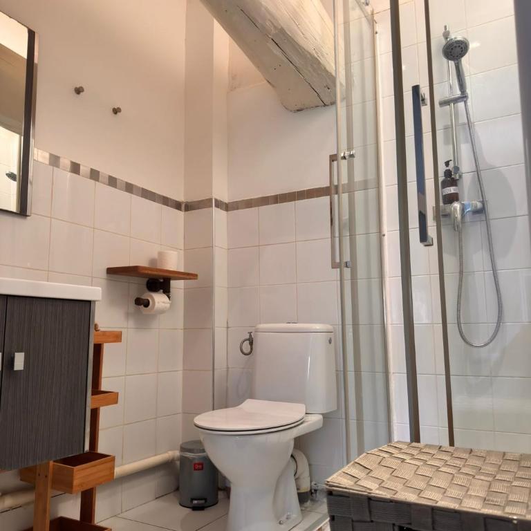 Le Breizh'Aix - Joli duplex au cœur du centre ville d'Aix-en-Provence avec jardin - Apartment mit 1 Schlafzimmer - 21