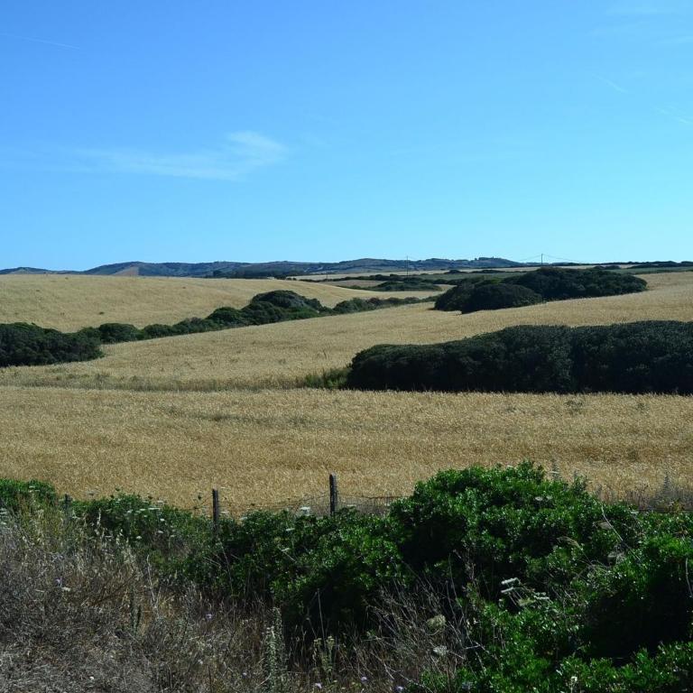 Holiday Home in Stintino near Sea Beach - Casa Vacanze con 2 Camere da Letto - 17
