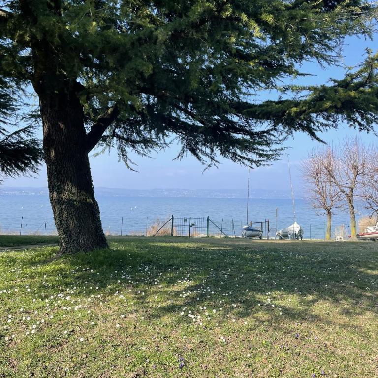 Sirmio Green Shore By Bookinggardalake - Appartamento con Vista Lago - 1