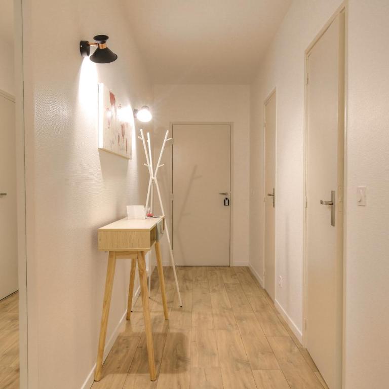 Appartement avec terrasse - Proche Berges du Rhône - Appartement 1 Chambre - 11