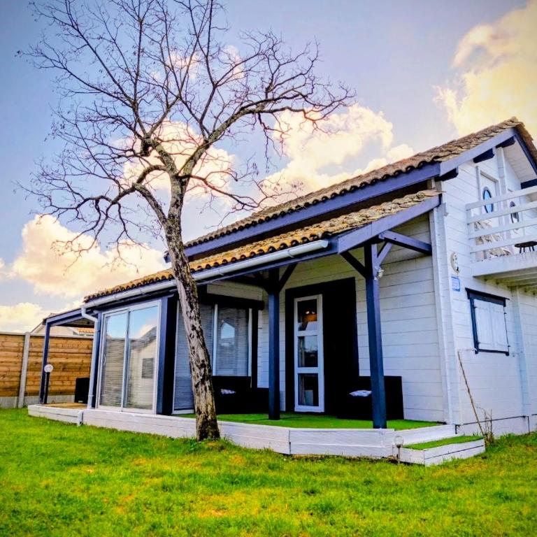 chalet cosy linge et ménage inclus bassin d'arcachon - Chalet mit 3 Schlafzimmern - 9