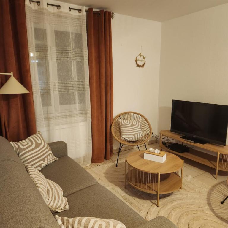 Le petit marché de Sainte Cécile- Centre historique Albi - Appartement 1 Chambre - 5