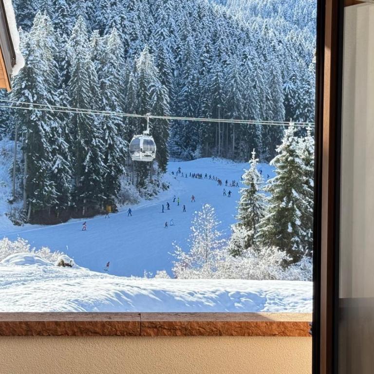 Appartamenti Rì de la Clama Andalo, Barbara - Apartment mit 1 Schlafzimmer - 13