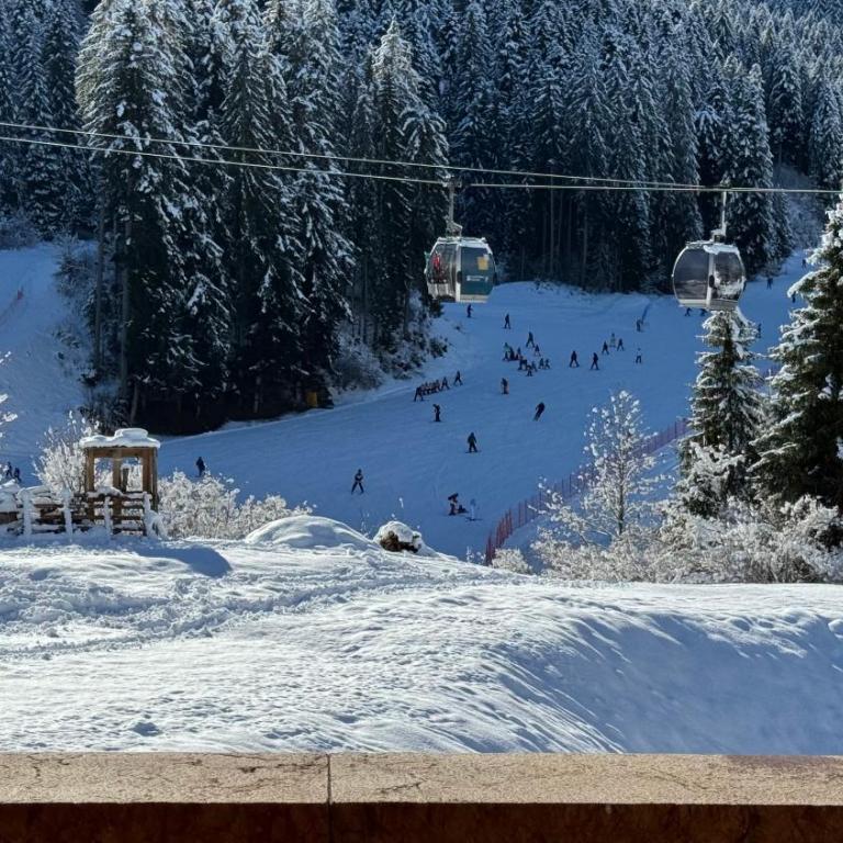 Appartamenti Rì de la Clama Andalo, Barbara - Apartment mit 1 Schlafzimmer - 12