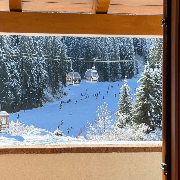 Appartamenti Rì de la Clama Andalo, Barbara - Apartment mit 1 Schlafzimmer - 14