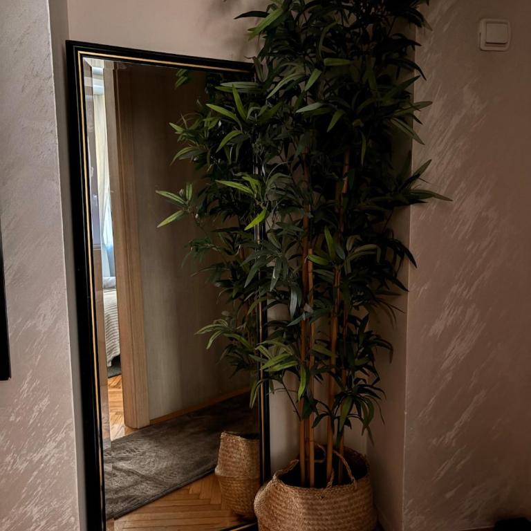 Belgrade Homely Corner - Two-Bedroom Apartment - 14