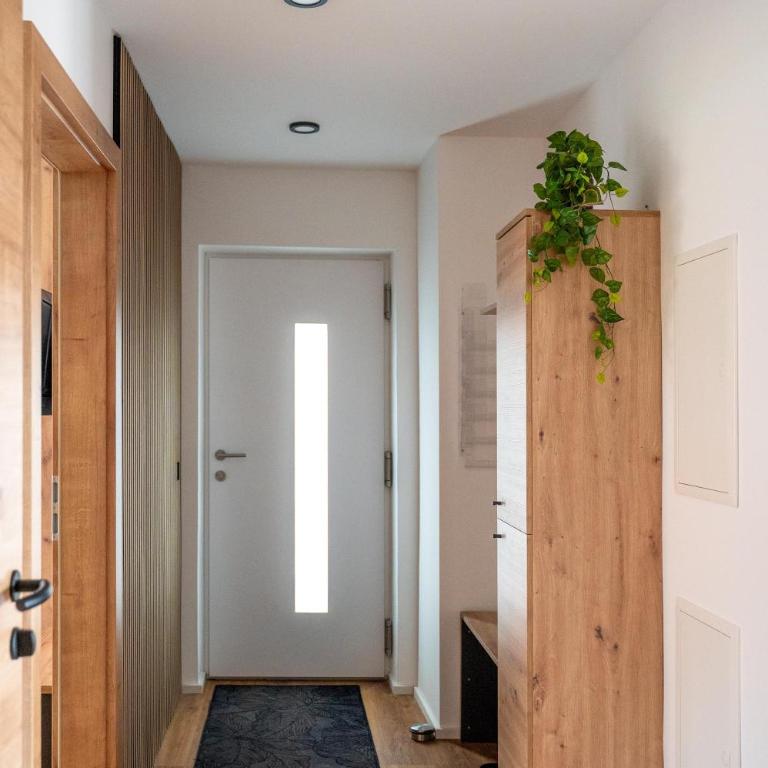 Moderne Ferienwohnung nahe Salzburg & Eugendorf - Apartment - 16