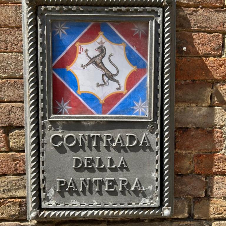 Palazzo Incontri - Apartment - 2