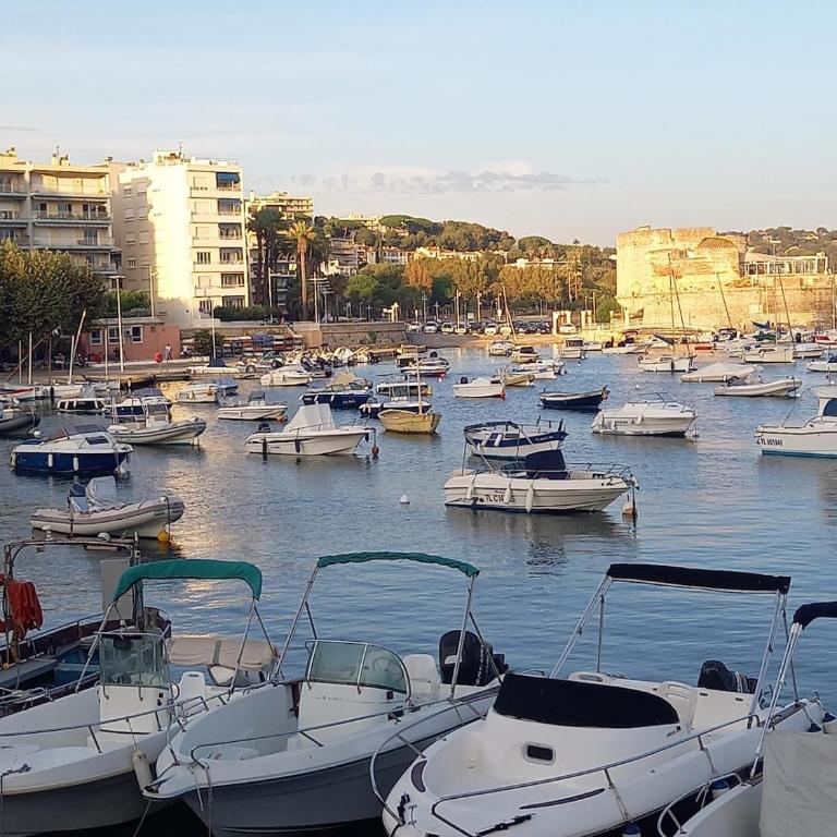 La Figue Beige de Toulon - Apartamento de 2 dormitorios - 36