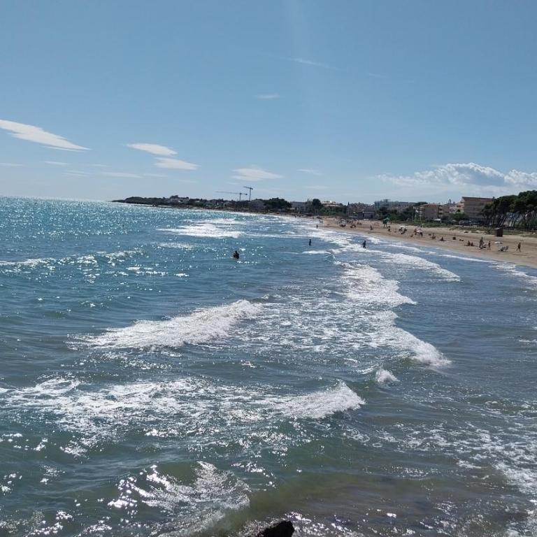 L'EDEN playa romana - Apartamento de 2 dormitorios - 10
