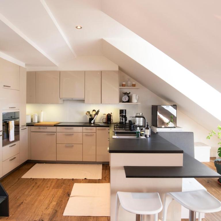 Malagnou - Spacieux appartement lumineux avec rooftop à Genève - Appartement 2 Chambres - 7