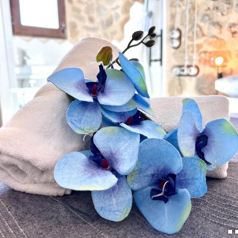 VH Costa Blanca - CASA BLANCA - Villa - 35