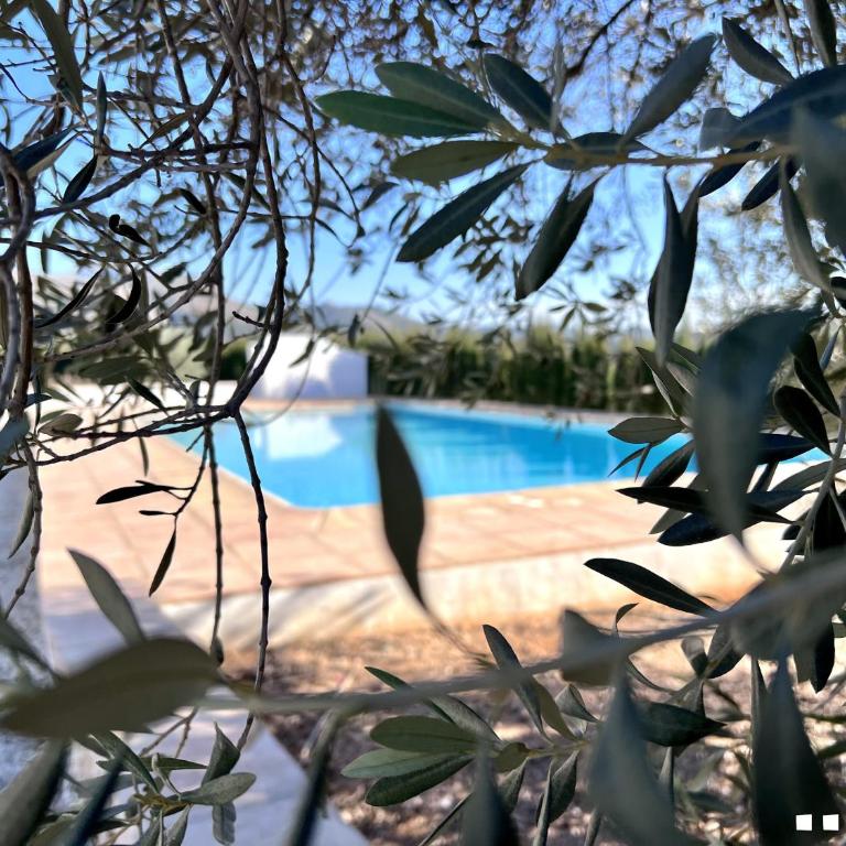 VH Costa Blanca - CASA BLANCA - Villa - 42