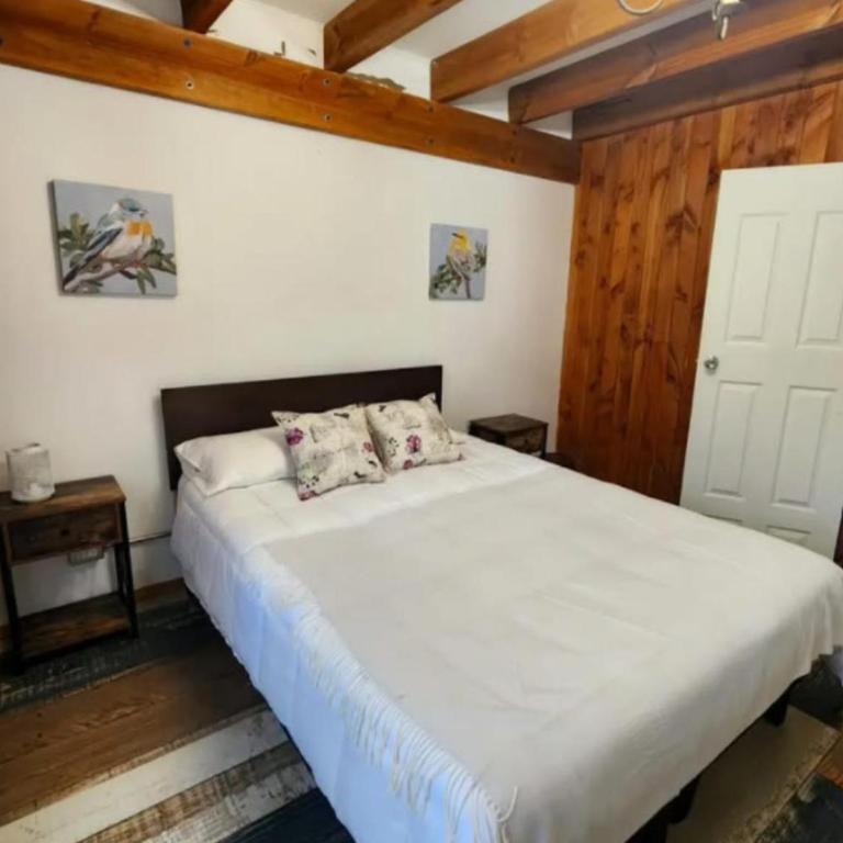 Maitenes - Three-Bedroom House - 5