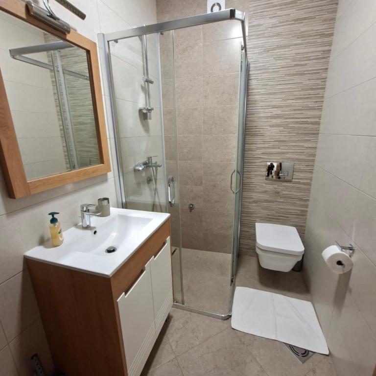 Lovac apartmani - Apartment with Balcony - 11