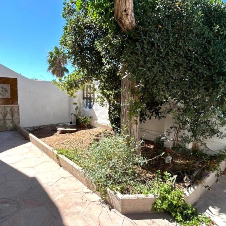 Villetta Albachiara con veranda - Casa con 3 Camere da Letto - 35