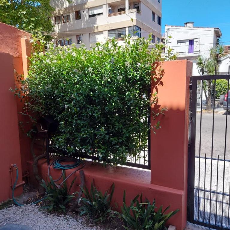 Casa para seis personas en macrocentro - Casa de 2 dormitorios - 8