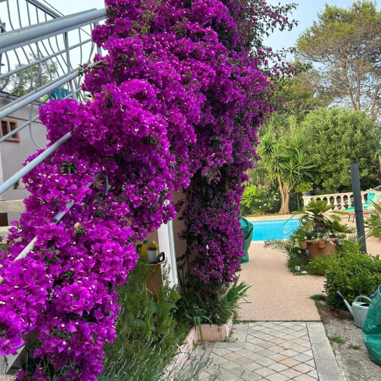 Haut de villa lumineux - Apartment mit 2 Schlafzimmern - 3