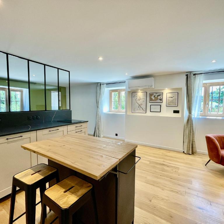 Mont Pellat - Spacieux studio au Charme Unique - Appartement - Rez-de-Chaussée - 3