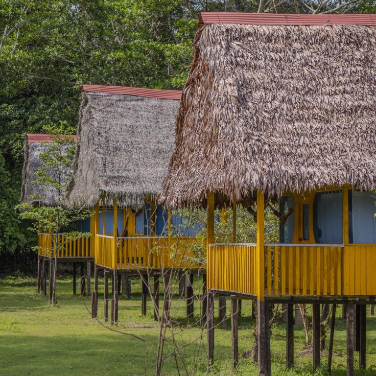 Amazon Curassow Lodge and Expeditions - Habitación Individual con baño privado - 40