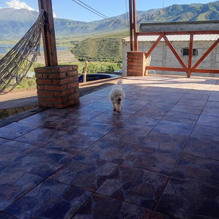 Casa temporal para vacacionar - One-Bedroom Chalet - 5