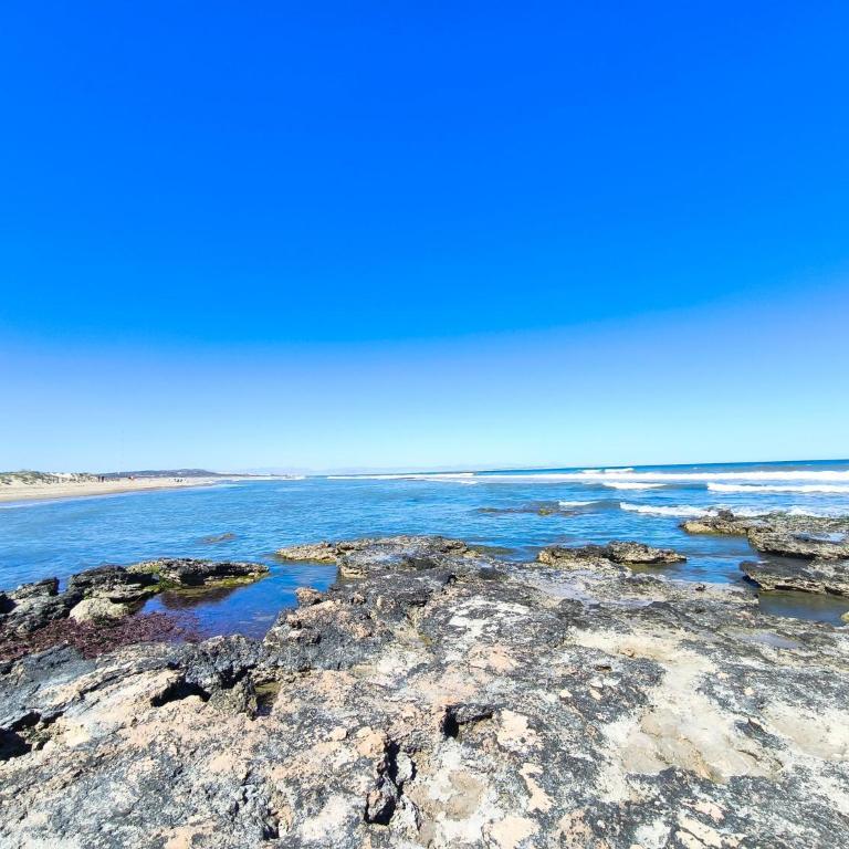 Sun and beach in La Mata - Apartamento - 14