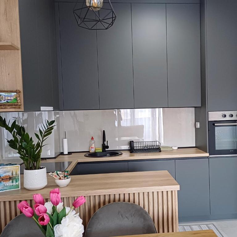 Apartman Pavle - Apartman sa 1 Spavaćom Sobom - 3