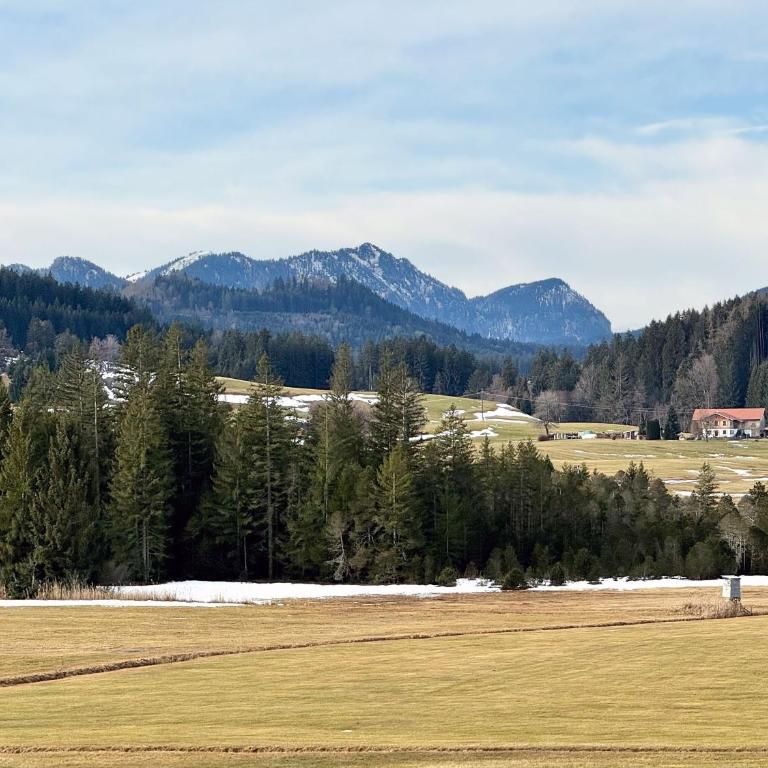 Sonnenhof Seeg 08 - Apartment - 35
