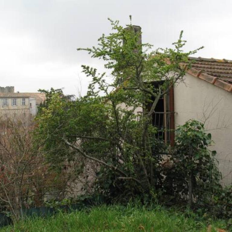 Le figuier - Maison 3 Chambres - 15