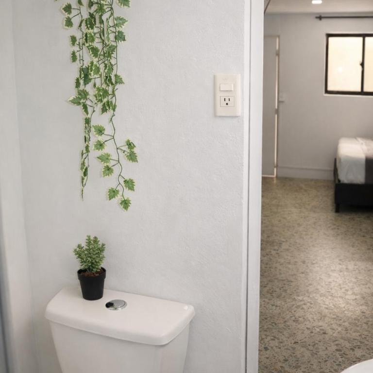 Absolute Nova Hotel - Family Room with Shared Bathroom - 3