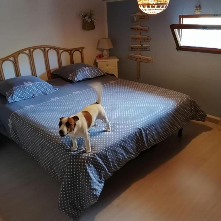 Alloggio mansardato con splendida vista - Appartamento con 2 Camere da Letto - 10