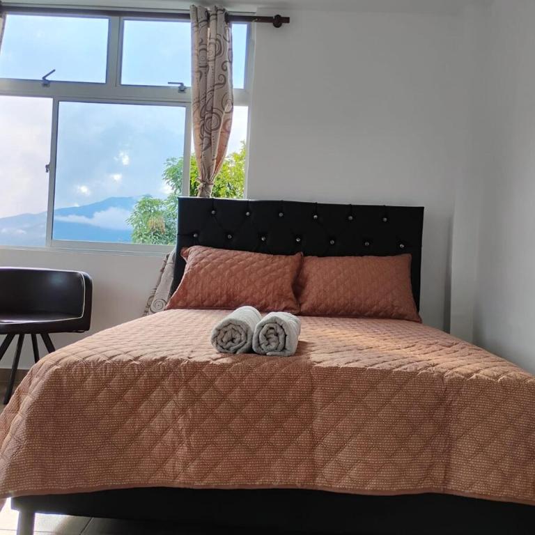 Apto Campestre - Quinta Divina Providencia - Apartamento de 2 dormitorios - 32