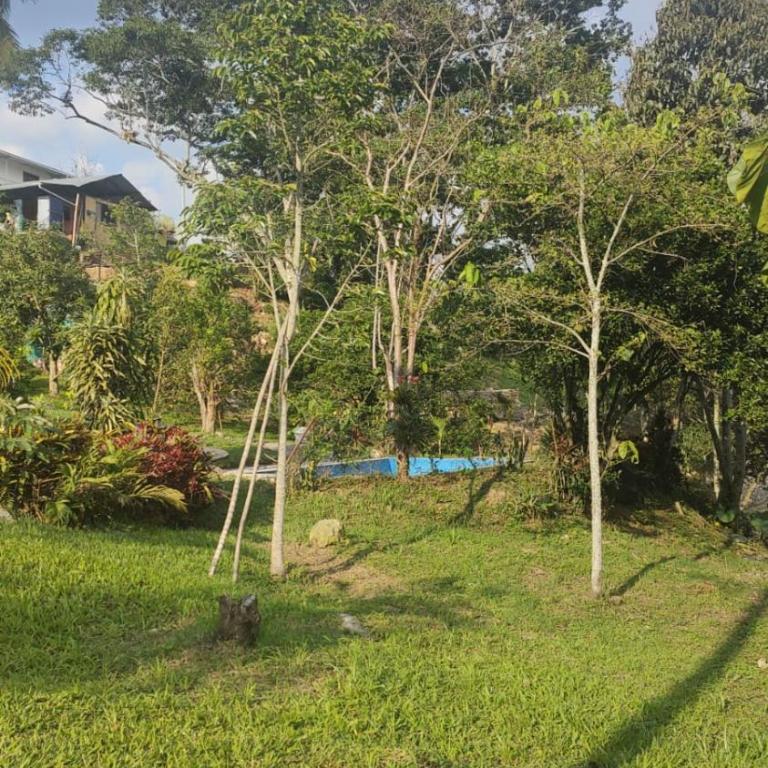 Apto Campestre - Quinta Divina Providencia - Apartamento de 2 dormitorios - 42